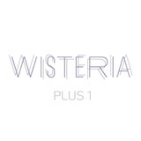 WISTERIA PLUS1 銀座一丁目【ウィステリアプラスワン】