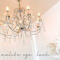 malibu eyelash 太田店【マリブアイラッシュ】