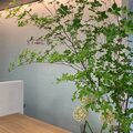 STYLE Smart Salon茅ヶ崎(ケンジグループ)