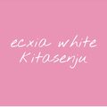 ecxia white kitasenju