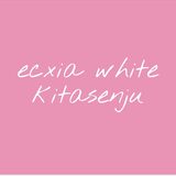 ecxia white kitasenju