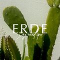 ERDE Dry｜ドライヘッドスパ専門店 ERDE Dry Head Spa