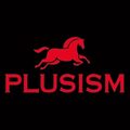 PLUSISM