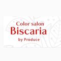 Color salon Biscaria.