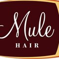 Mule HAIR