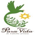 Pura  Vida  de  cabello  artista