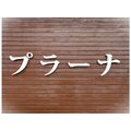 美容プラーナ