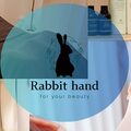 Rabbit hand