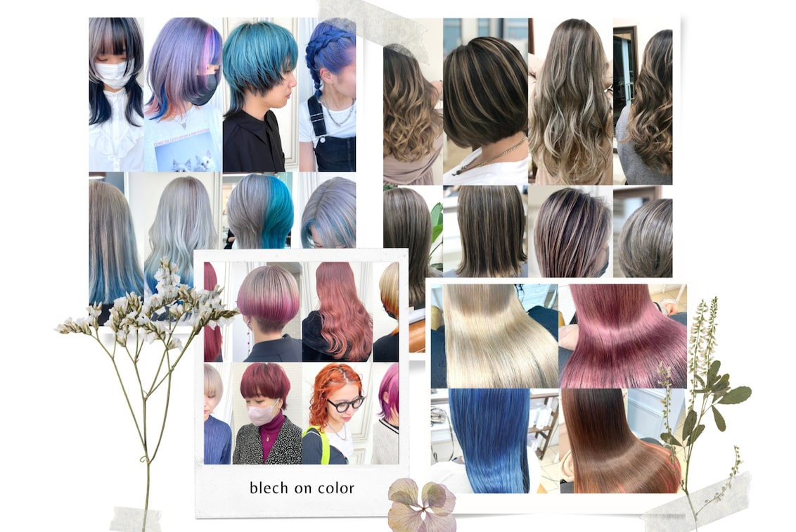 株式会社 graspedia(SHALLTIA)