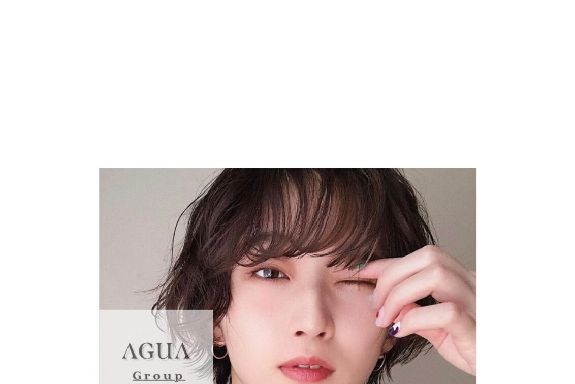 株式会社　ＡＧＵＡ　Ｇｒｏｕｐ（AGUA Group）
