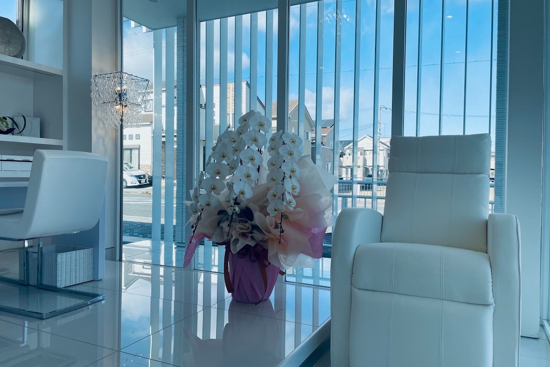 Total Beauty Salon Y + plus