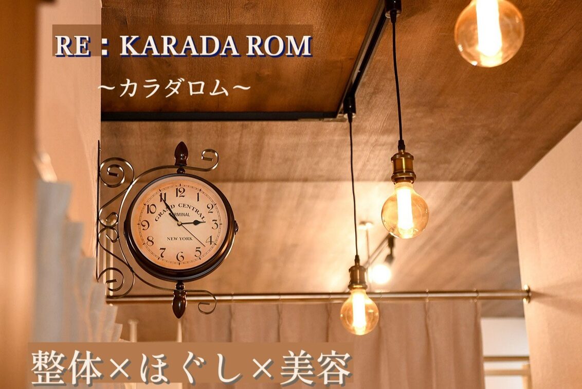 株式会社 La Salute(RE:KARADA ROM)