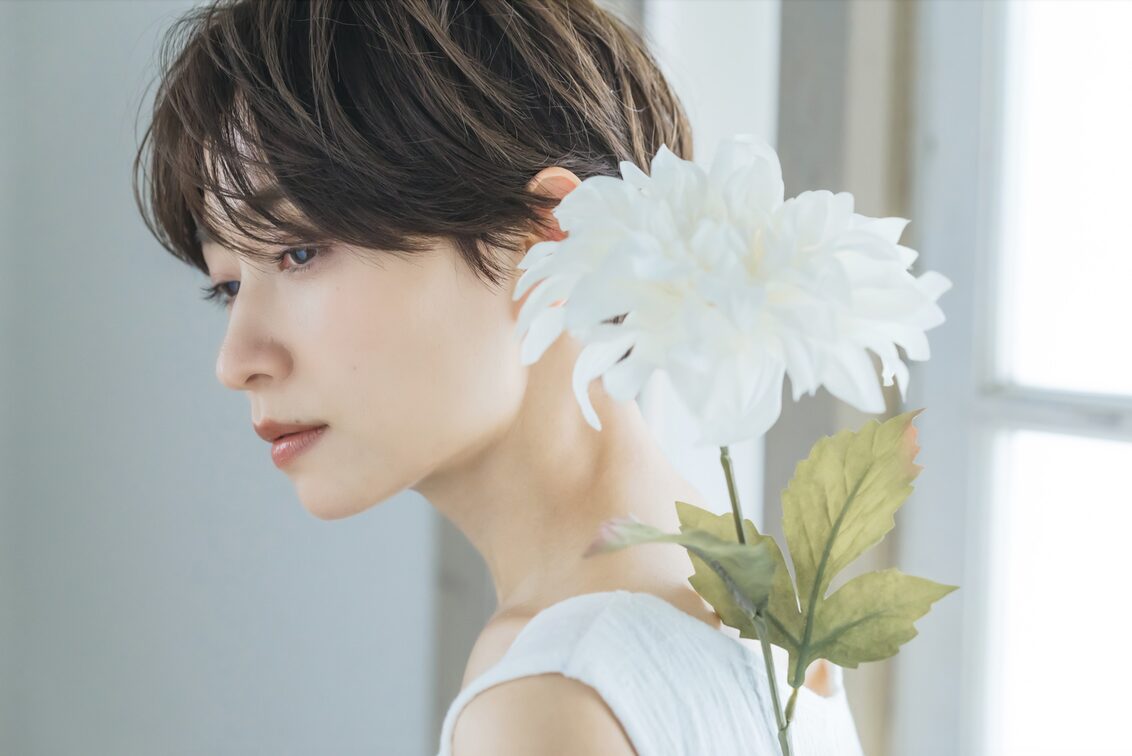 有限会社 ヴァンクレスト