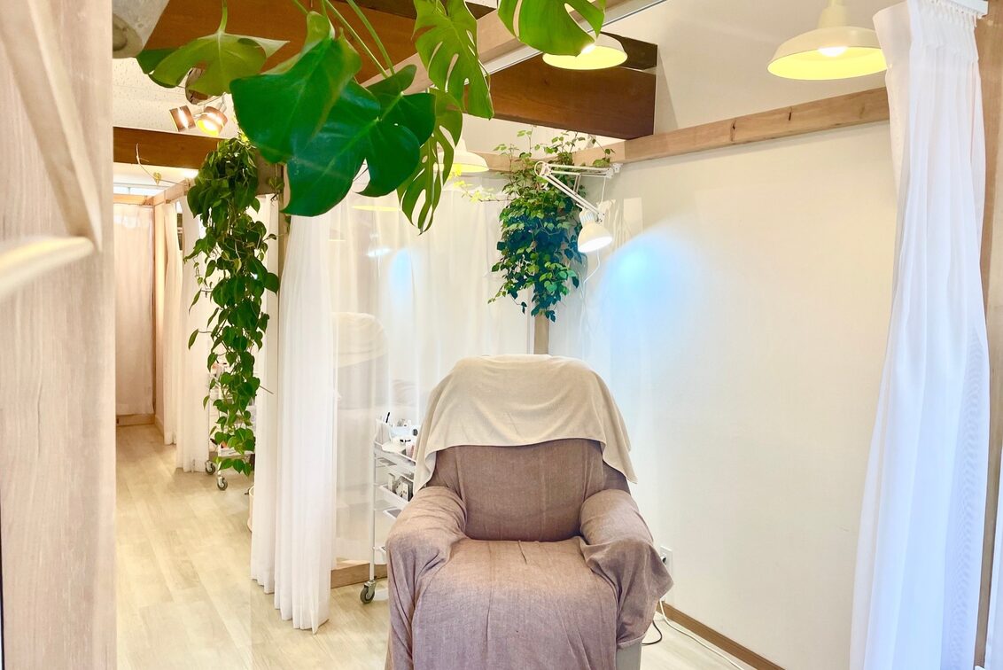 ｆｌｏｒａ（flora）