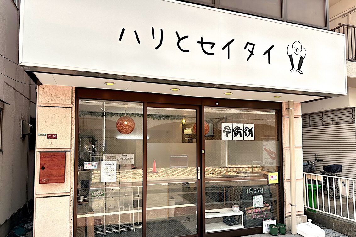 ハリとセイタイ