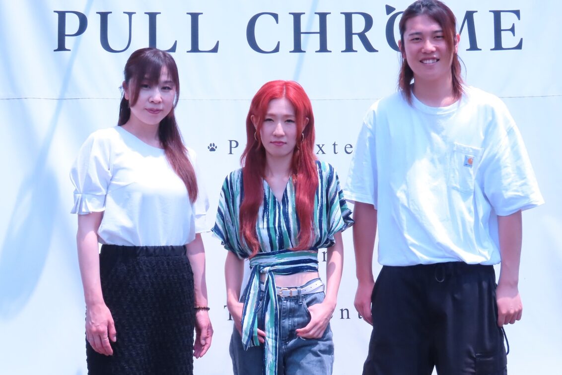 ＰＵＬＬ　ＣＨＲＯＭＥ