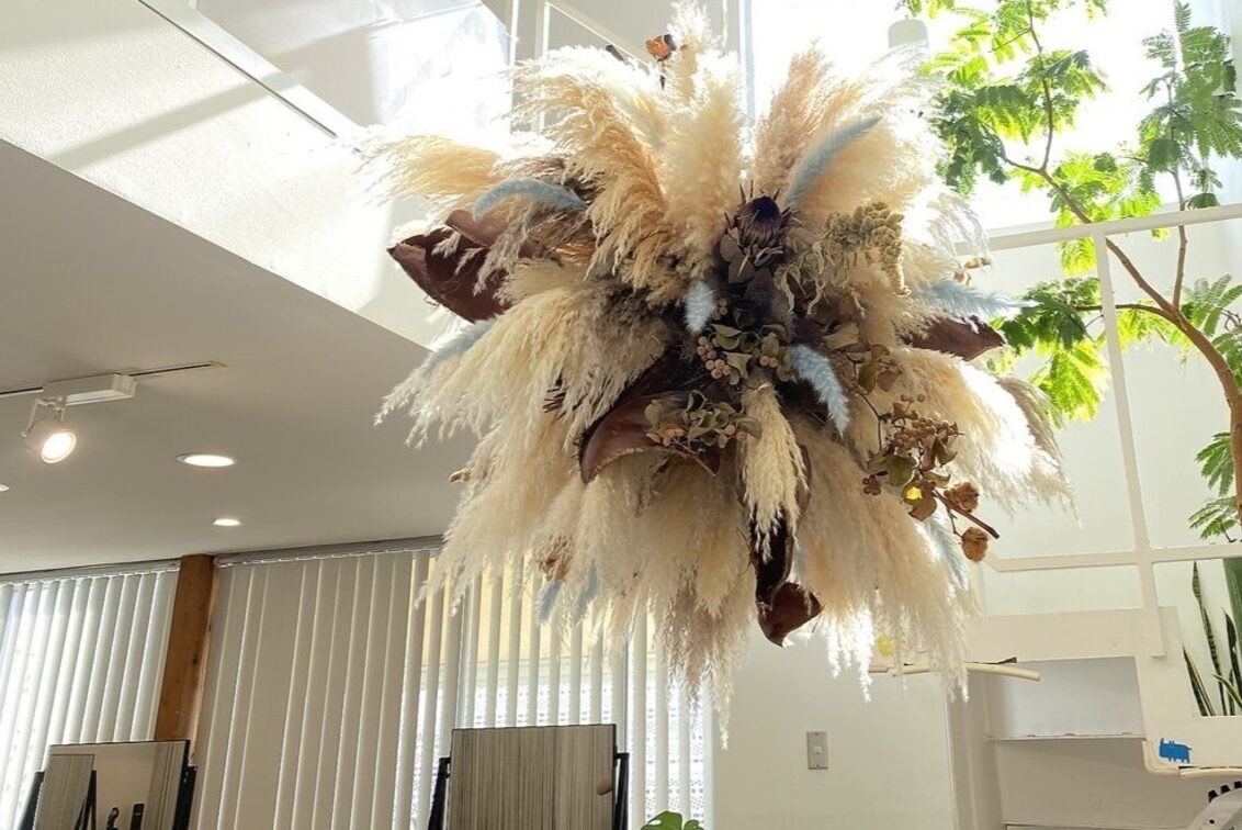 株式会社　トランクエンターテインメント（まつ毛とまゆ毛の専門店　ココロニコル今治店）