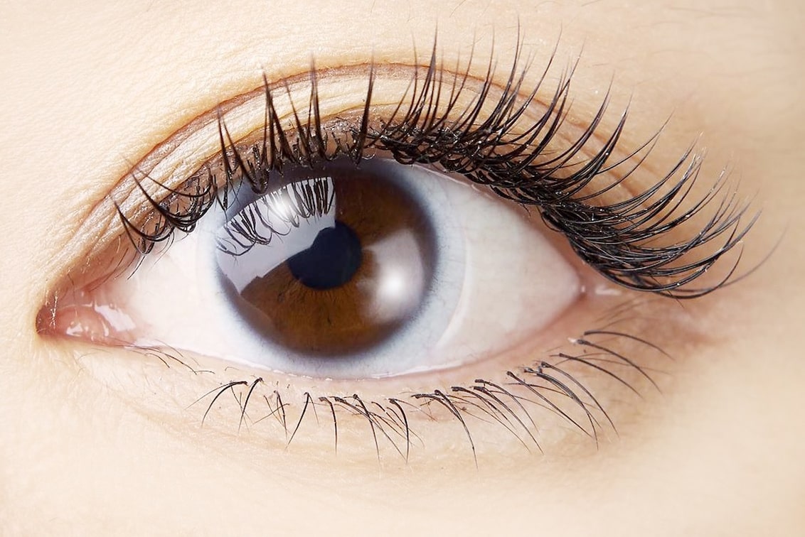 Cherie(Cherie【シェリー】)