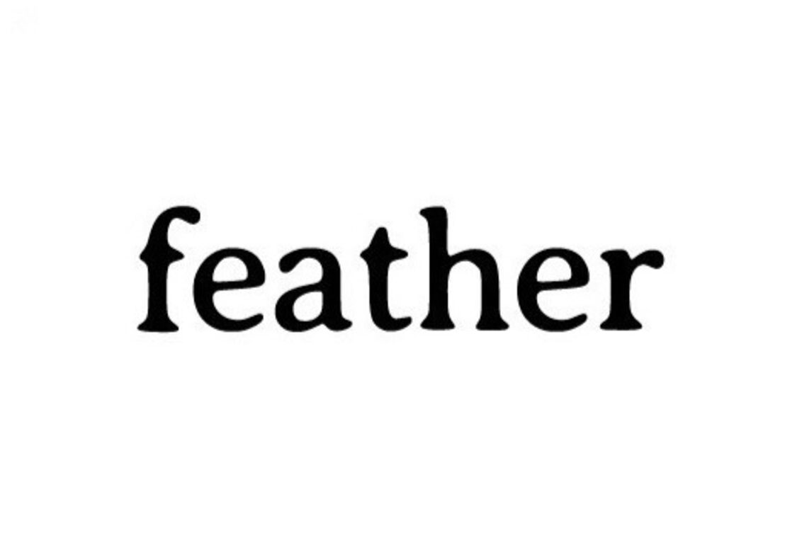 株式会社　ｆｅａｔｈｅｒの企業情報
