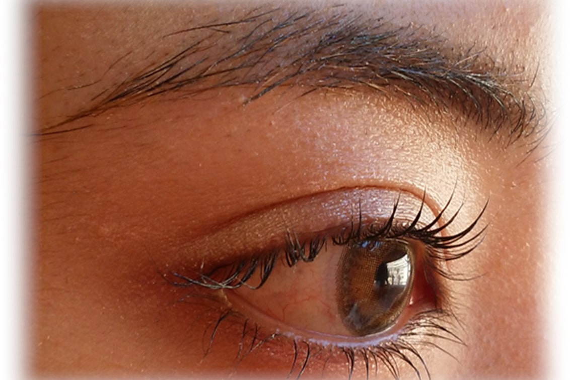 株式会社 エヌ・ティ・ビー