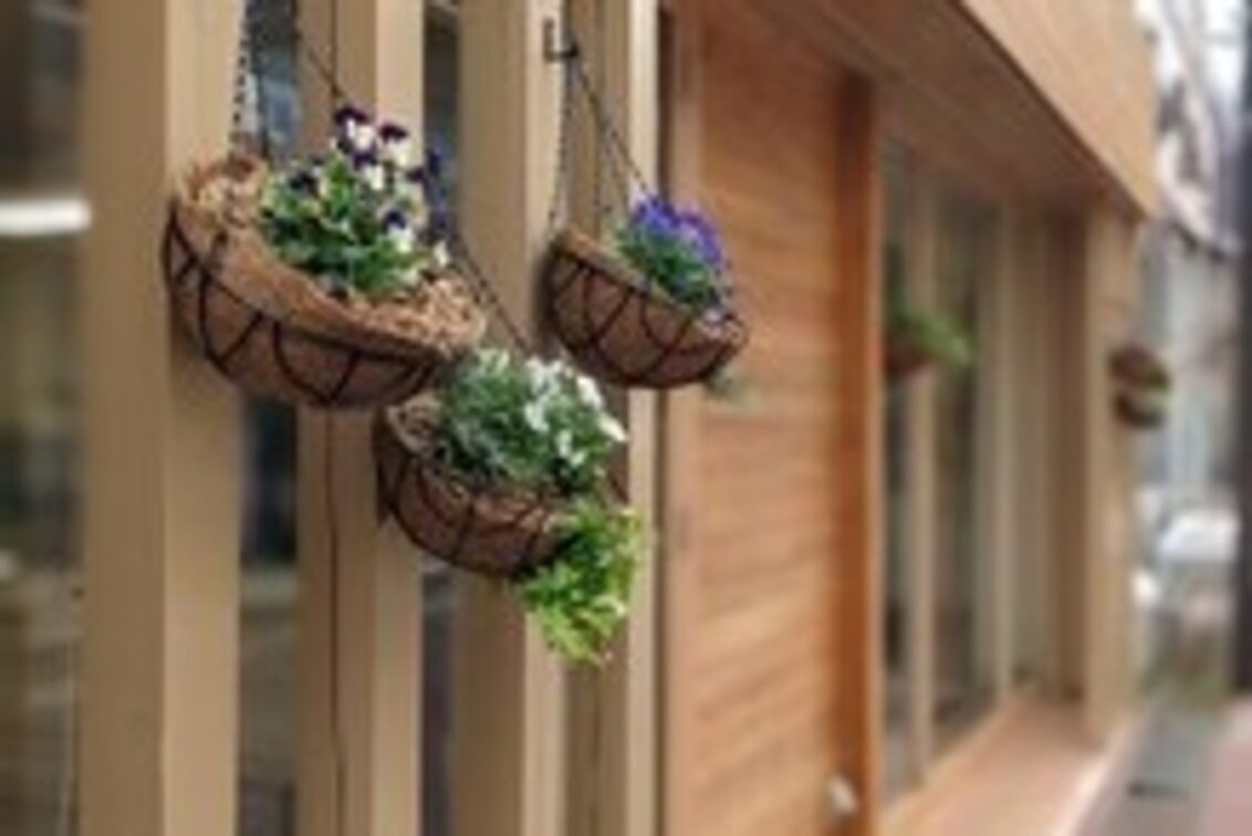 ｇｒｅｅｎ　ｆｅｅｌ（Green Feel）