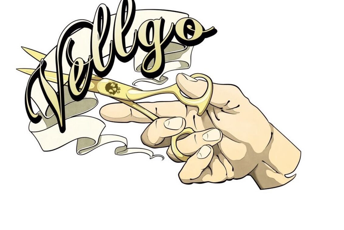 株式会社　ｖｅｌｌｇｏ