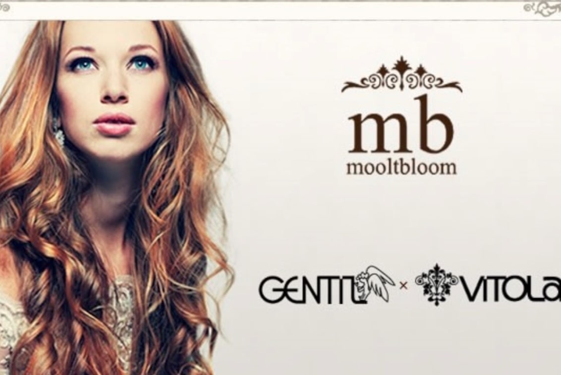 株式会社 mooltbloom(vitola(ビトラ))