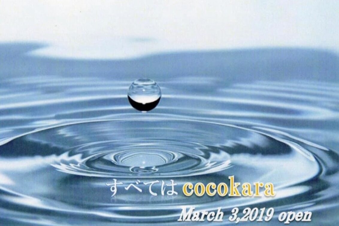 ＣｏＣｏ　株式会社の企業情報