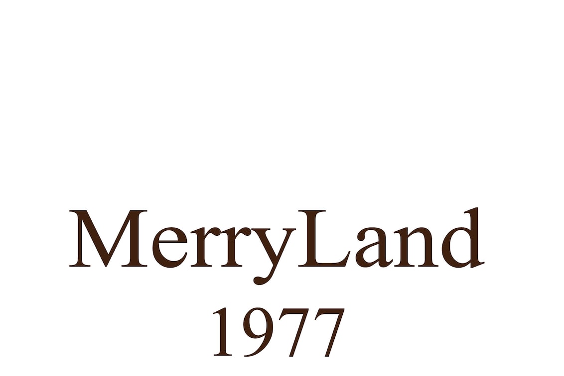 株式会社 Lstandard(Merry Land)