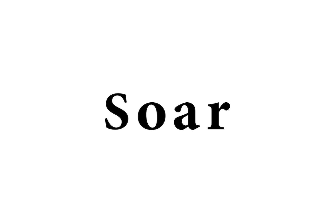 株式会社 Soar