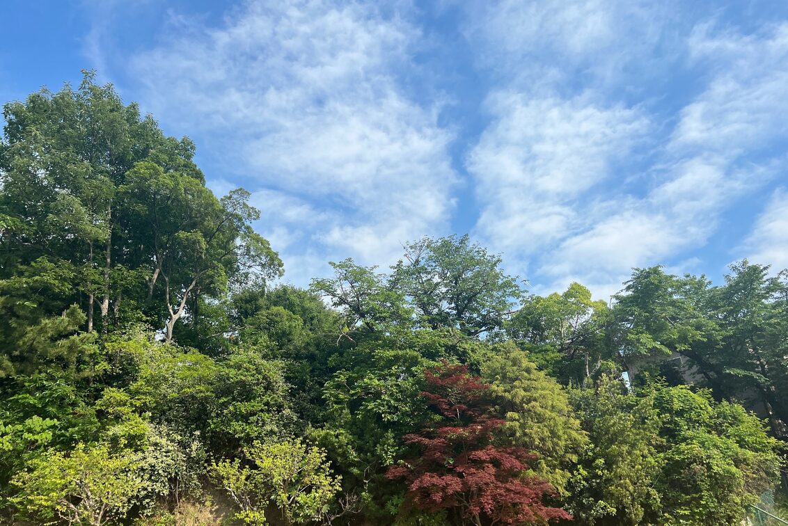 株式会社　Ｌｉｂｅｒｔａ