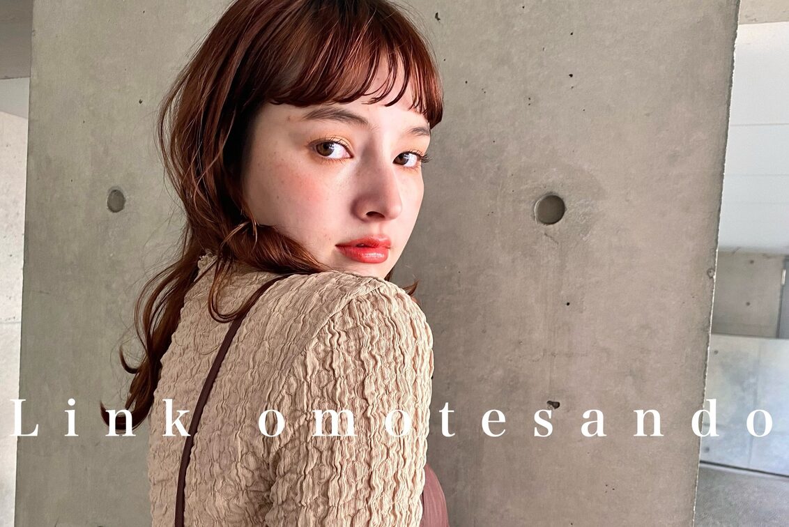 Ｌｉｎｋ（Link）