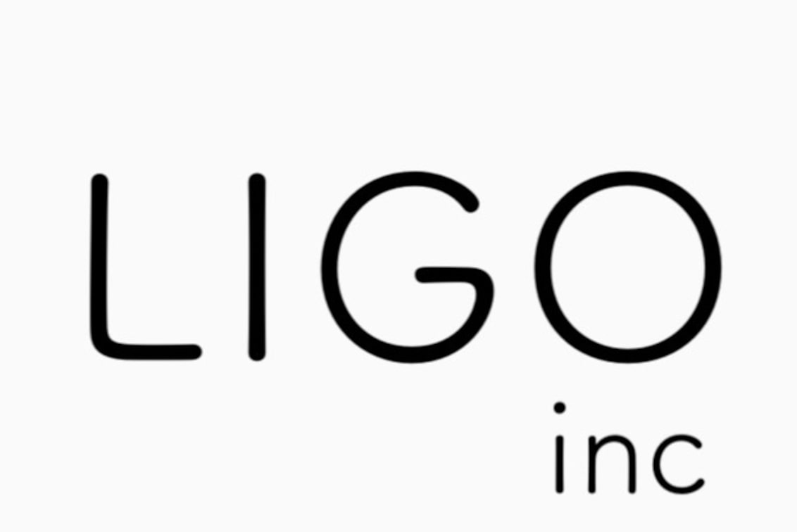 株式会社 LIGO(BUCKS(バックス))