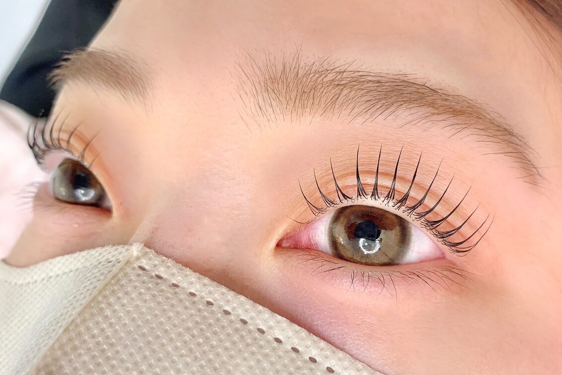 Ｒｏｓｅ　Ｌａｓｈ