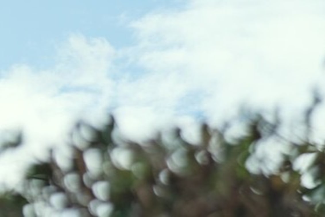 株式会社 メートル(cal)