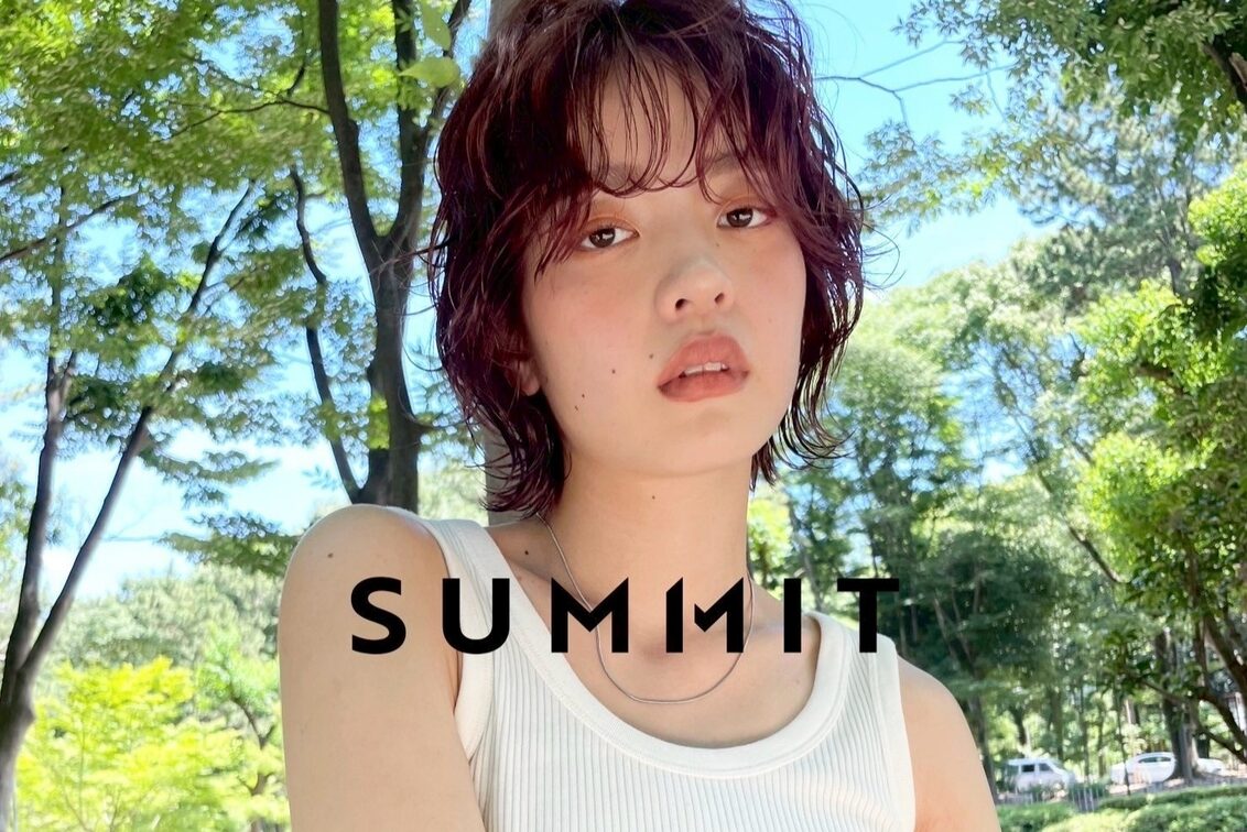 株式会社　ＳＵＭＭＩＴ（株式会社　SUMMIT）
