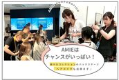 アルセ(arce)