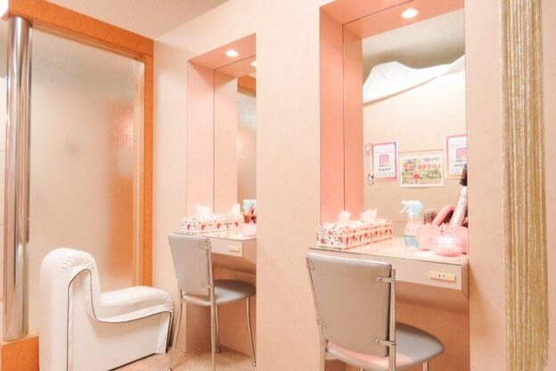 レイビス 盛岡店(RAYVIS)2