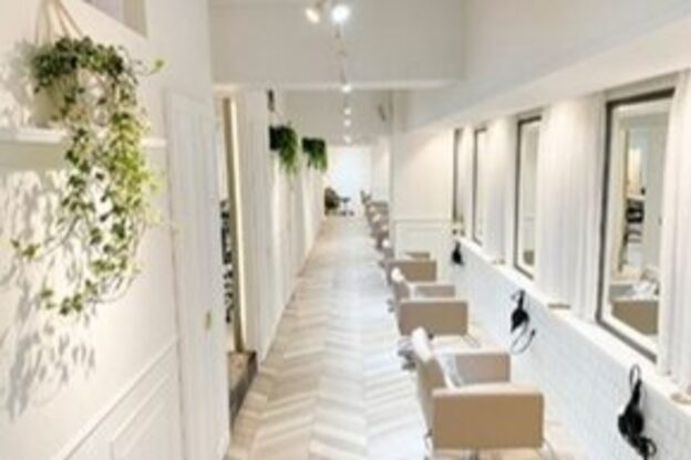 サロン(Salon)6