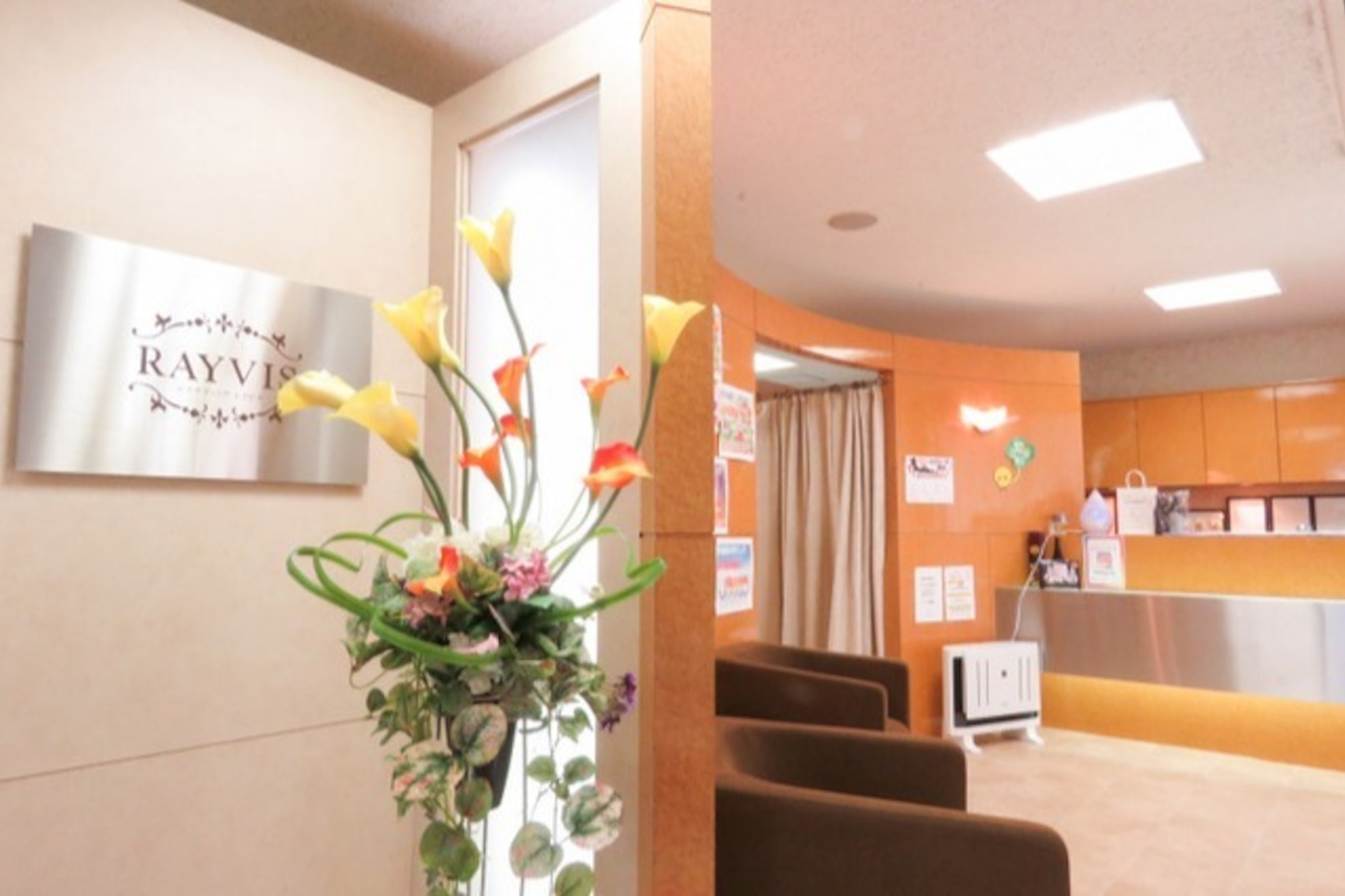レイビス 盛岡店(RAYVIS)1