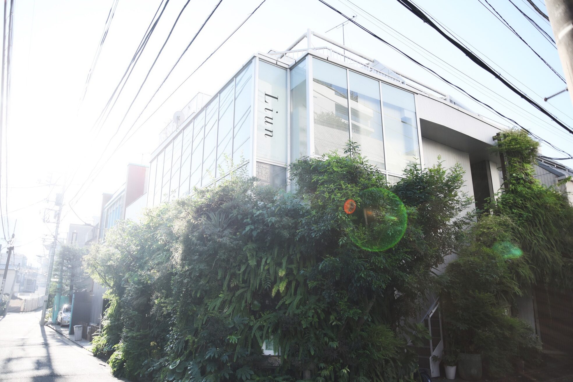 リアン アオヤマ(Liun Aoyama)3