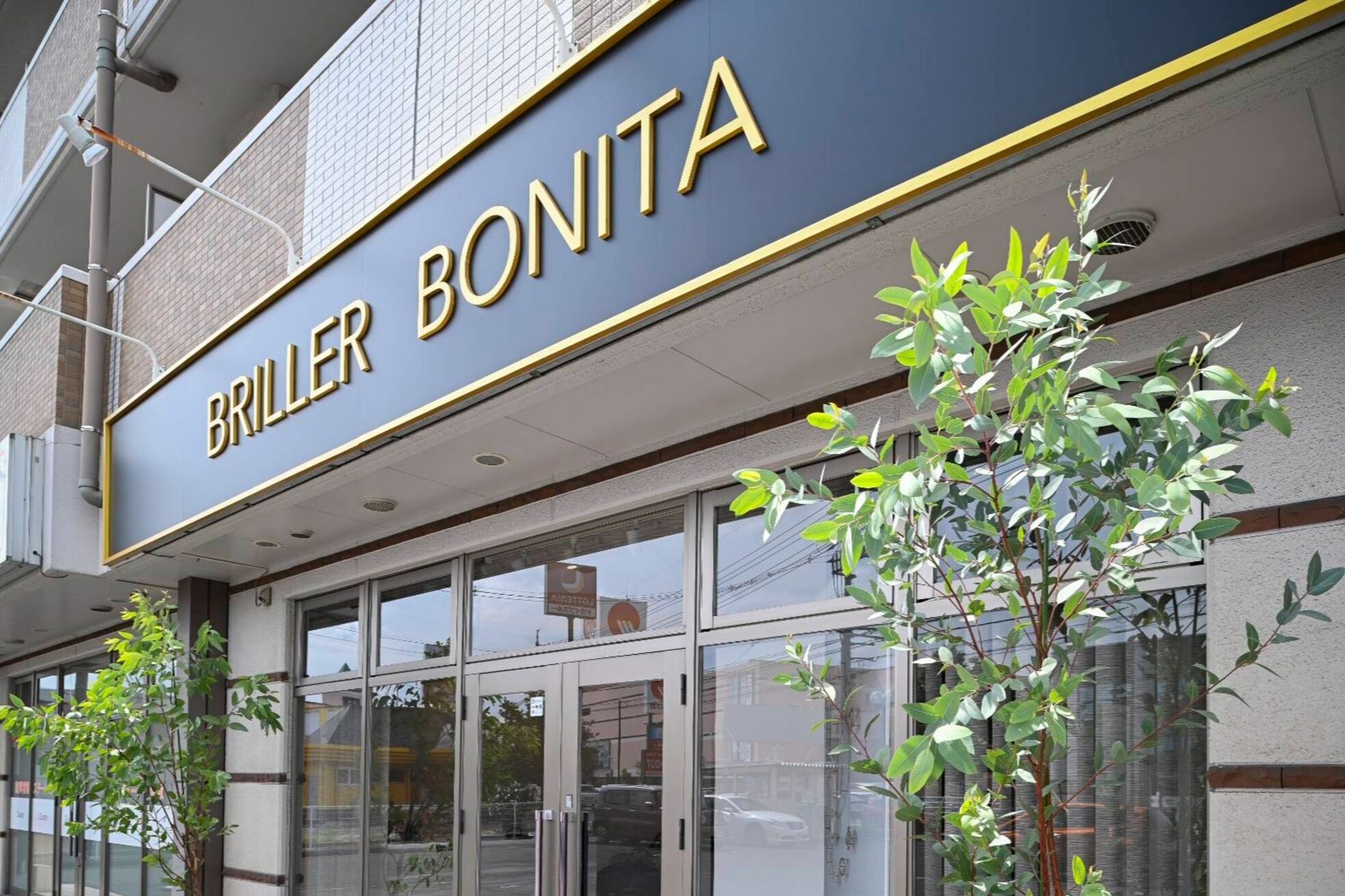 ブリエボ ニータ(BRILLER BONITA)1