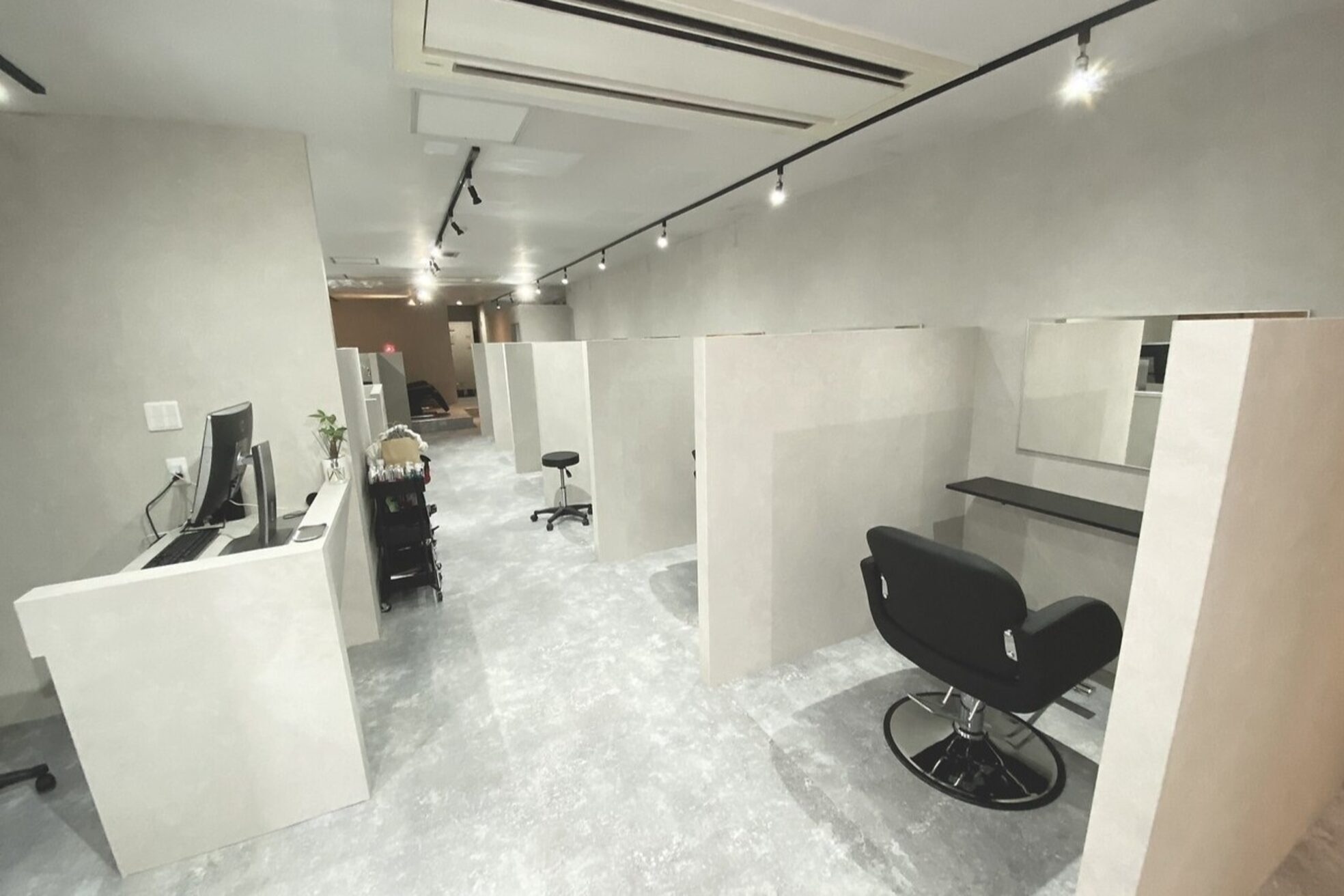 エイル リュクス(Aujua Eir LUXE)1