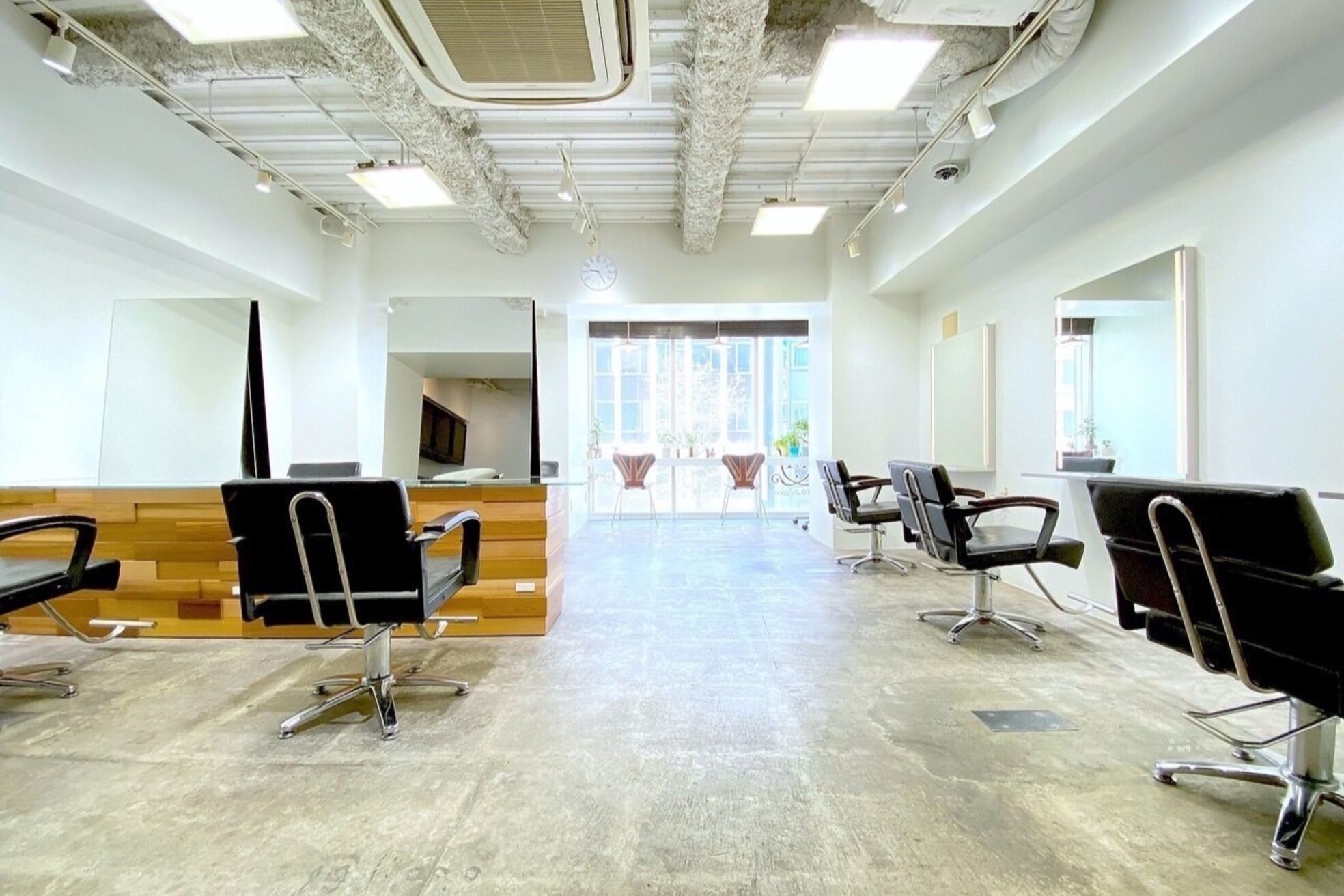 ミラバイグリーン(Mira by green)4