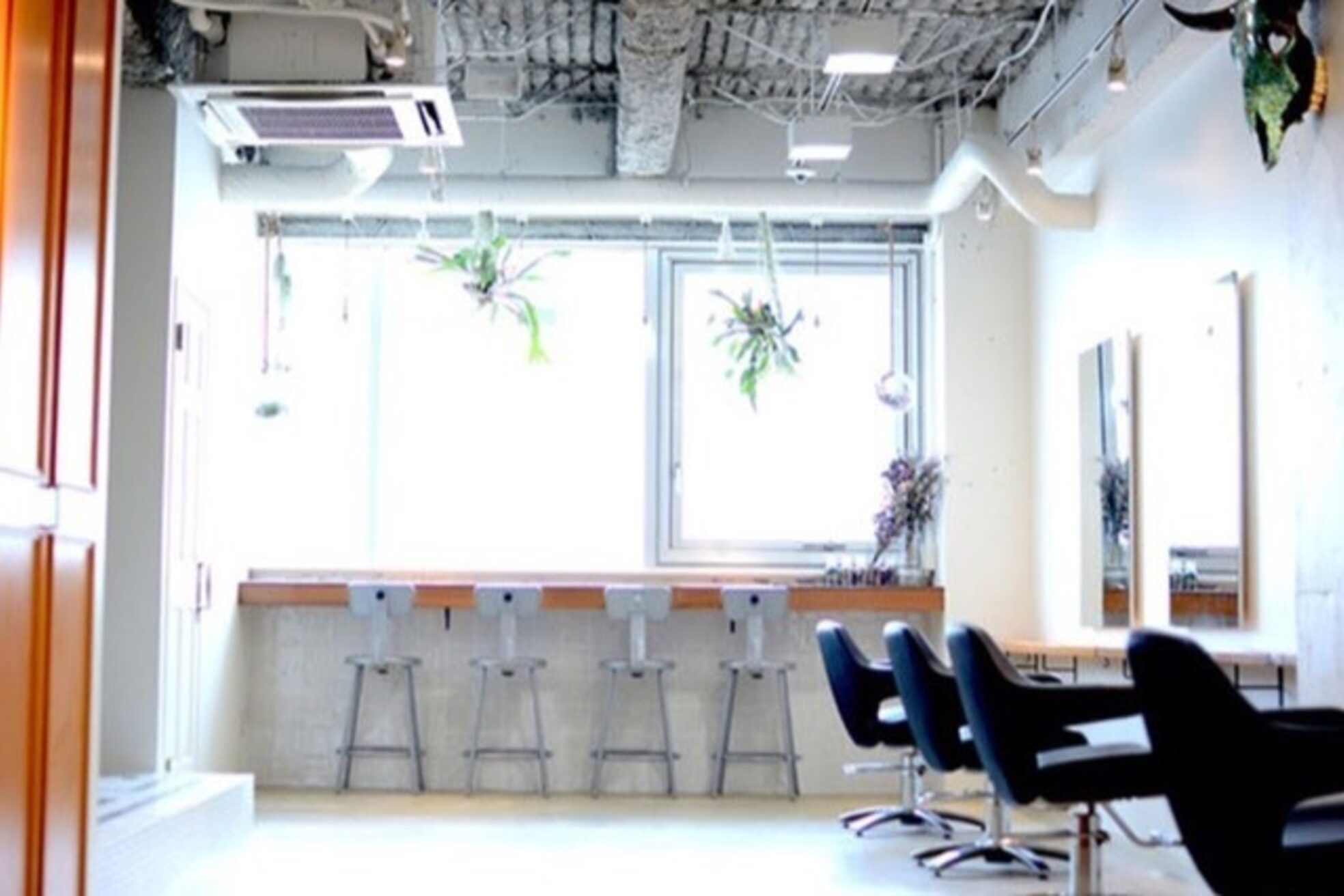 グリーン 渋谷(green)4