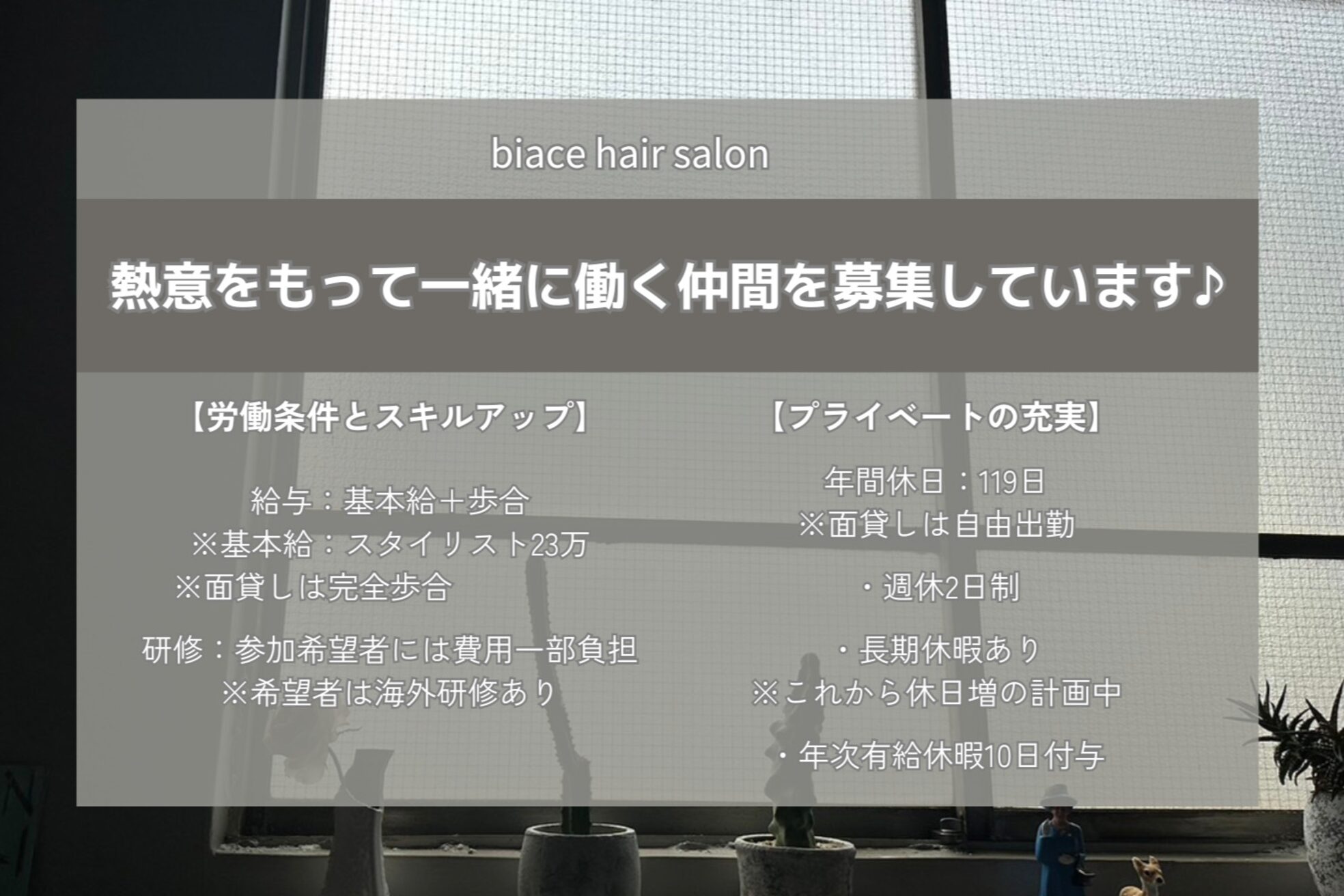 バイアス(biace)1