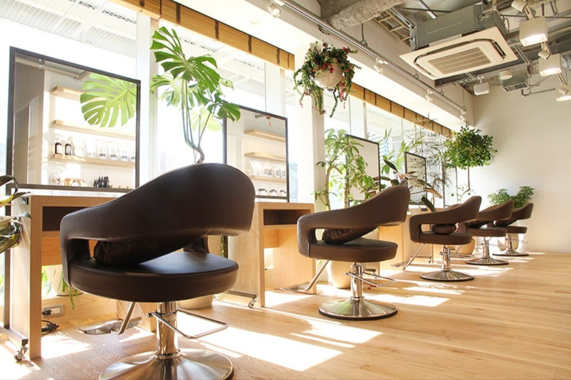 クララ 柏の葉T-SITE店(CLALA)3