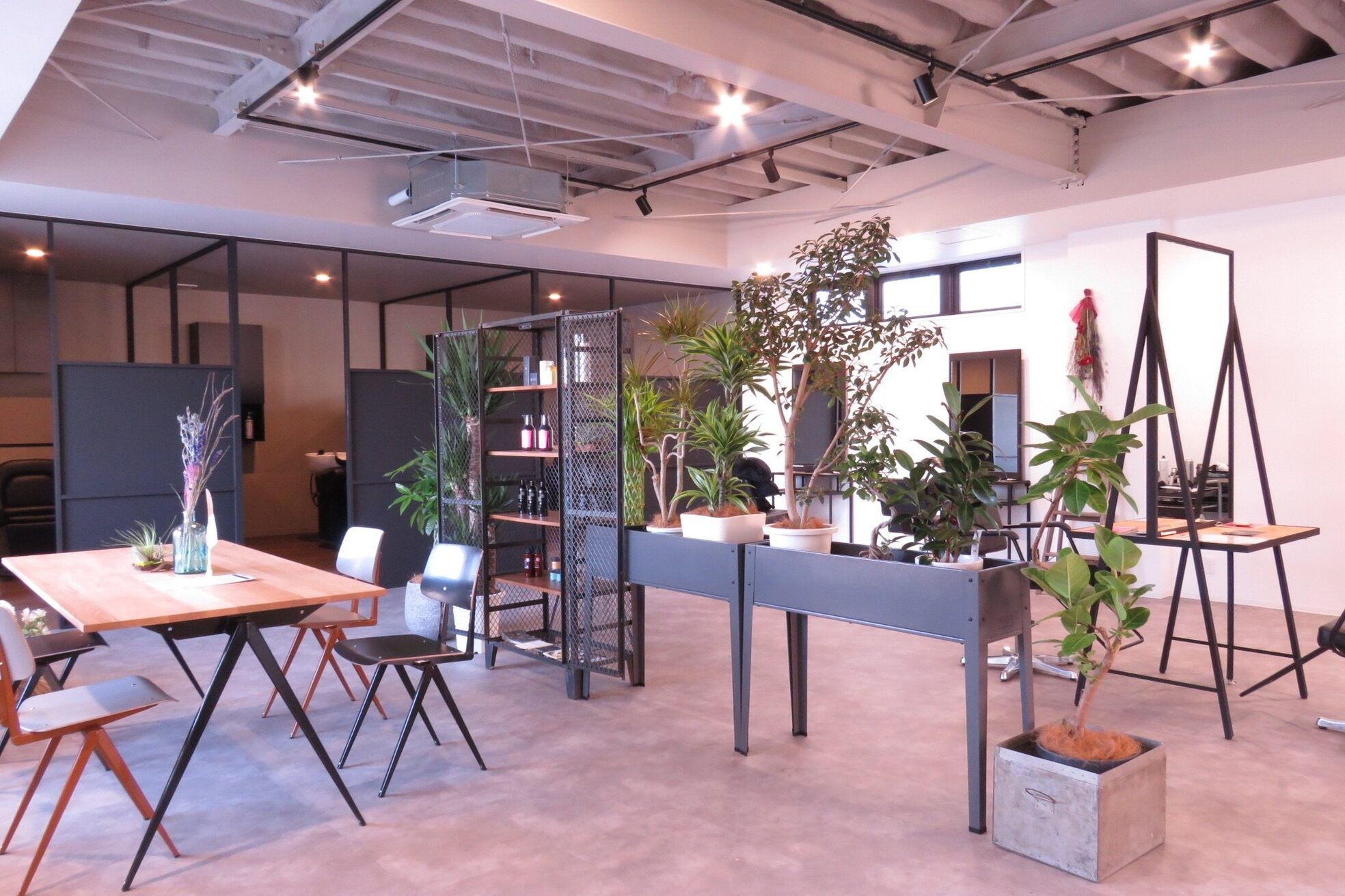 ナンバー(number+)1