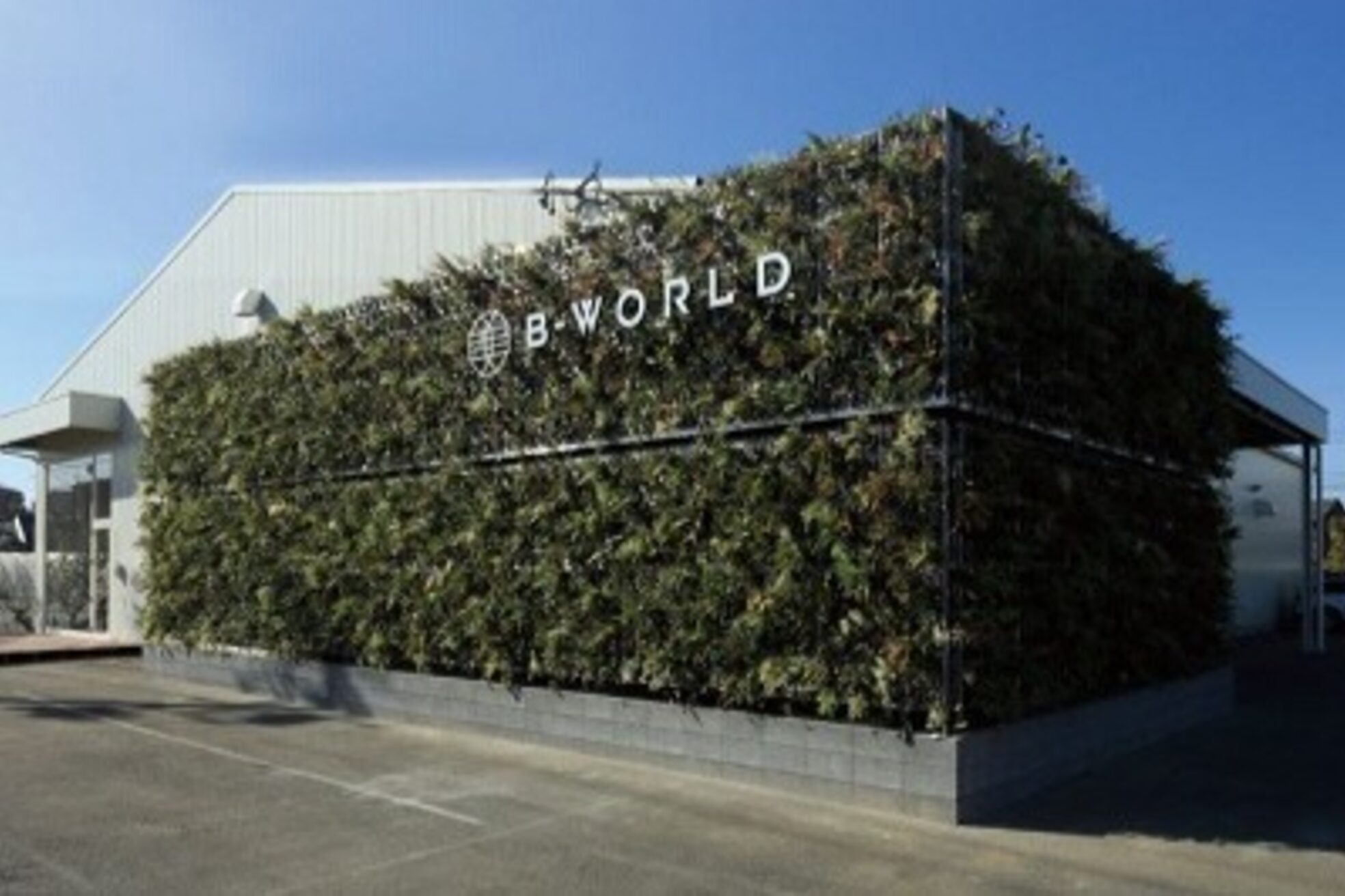 ビーワールド(B-WORLD)2