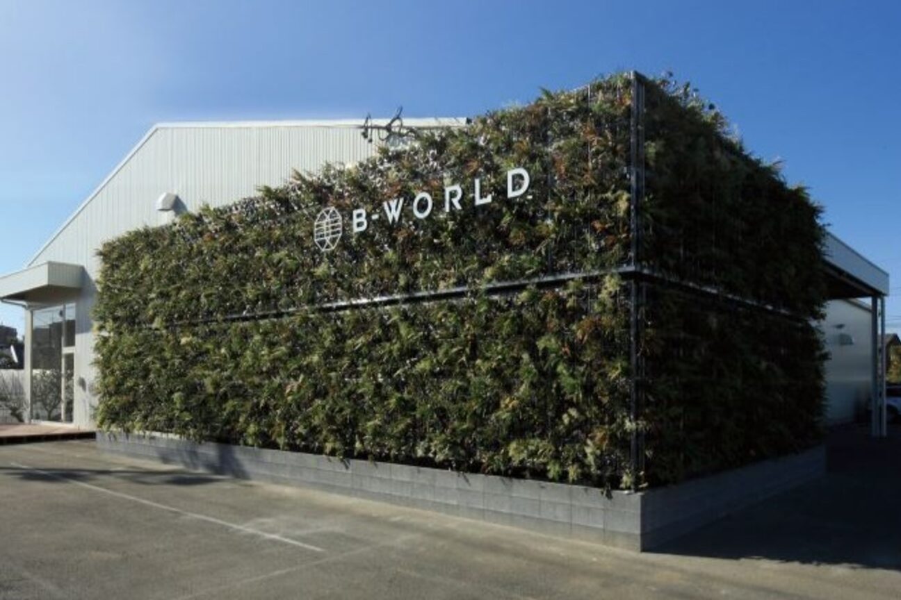 ビーワールド(B WORLD)1